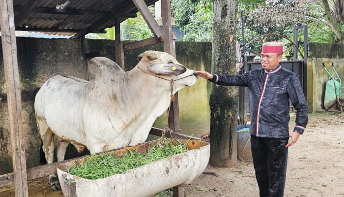 Gelar Penyembelihan Hewan Qurban di Batam, Ketua BPW KKSS Kepri Serahkan 1 Ekor Sapi